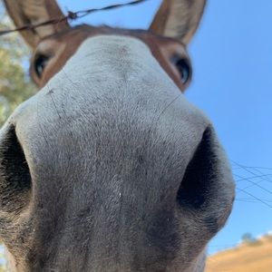 Meet your Posher, Sean